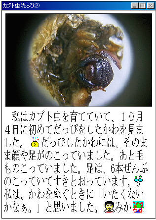 知恵の輪 カブト０５