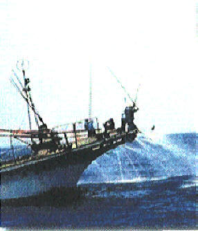 知恵の輪 鰹１本釣り ｎｏ 2