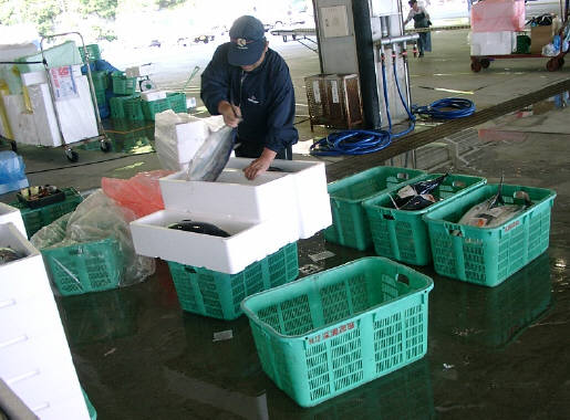 知恵の輪 魚を箱に入れる