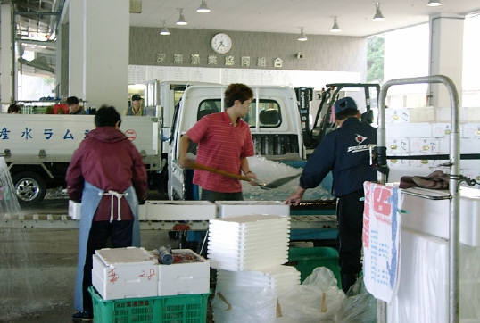 知恵の輪 魚を箱に入れる