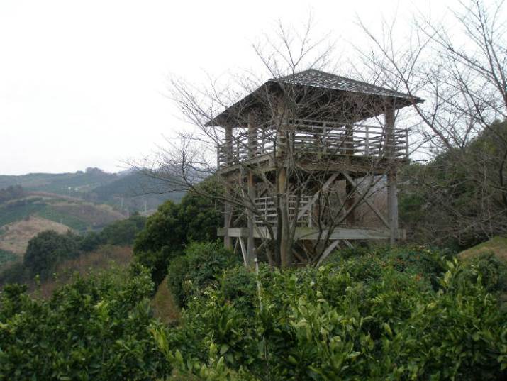 知恵の輪 砥部町 水満田 物見櫓