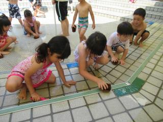 宇多津町立宇多津幼稚園 ニュース 園生活の様子